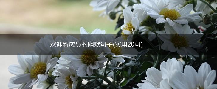 欢迎新成员的幽默句子(实用20句),第1张