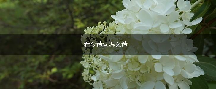 着令造句怎么造,第1张