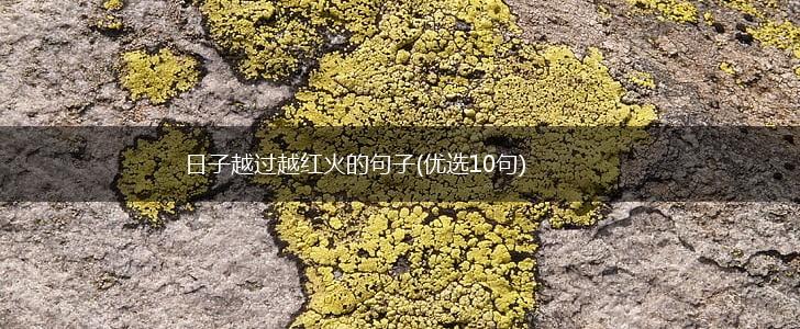 日子越过越红火的句子(优选10句),第1张
