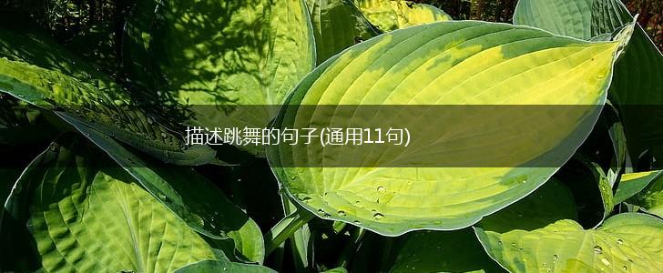 描述跳舞的句子(通用11句),第1张