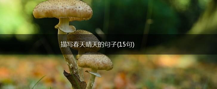 描写春天晴天的句子(15句),第1张