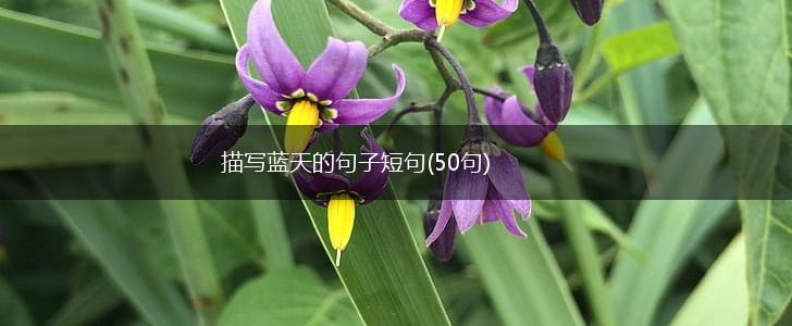 描写蓝天的句子短句(50句),第1张