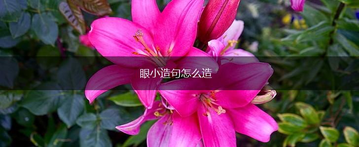 眼小造句怎么造,第1张