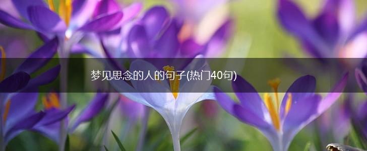 梦见思念的人的句子(热门40句),第1张
