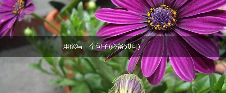 用像写一个句子(必备50句),第1张