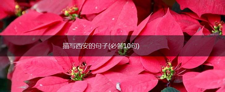 描写西安的句子(必备10句),第1张