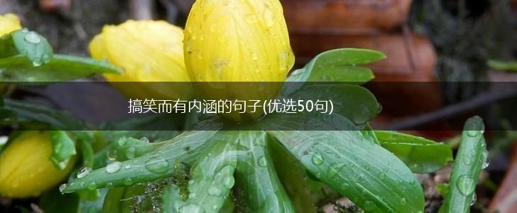 搞笑而有内涵的句子(优选50句),第1张