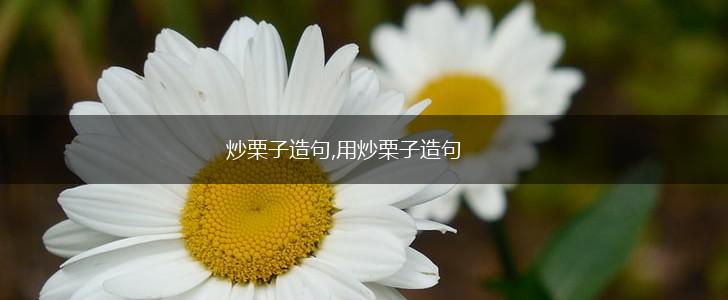 炒栗子造句,用炒栗子造句,第1张