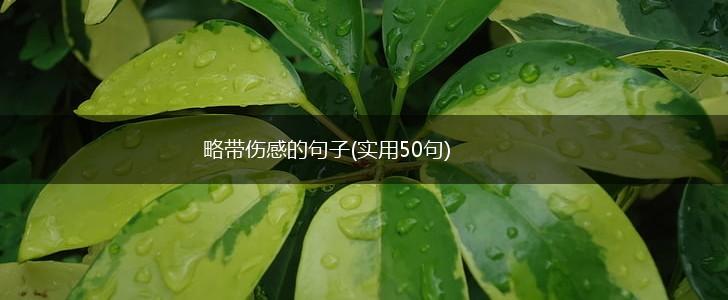 略带伤感的句子(实用50句),第1张