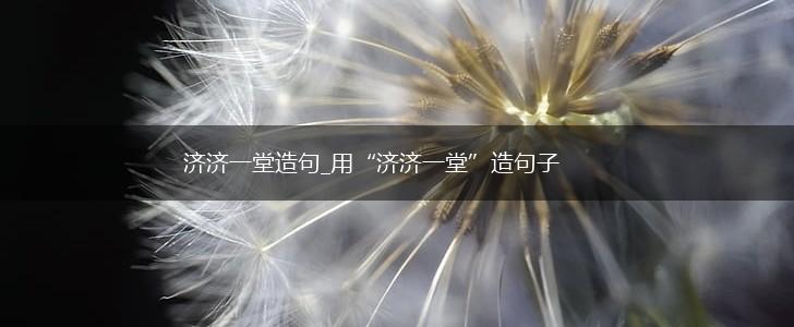 济济一堂造句_用“济济一堂”造句子,第1张