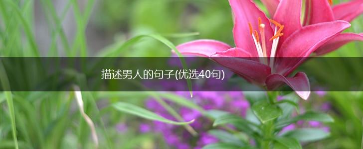 描述男人的句子(优选40句),第1张