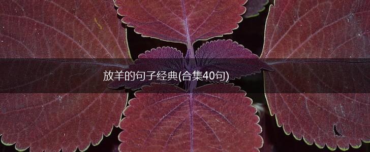 放羊的句子经典(合集40句),第1张