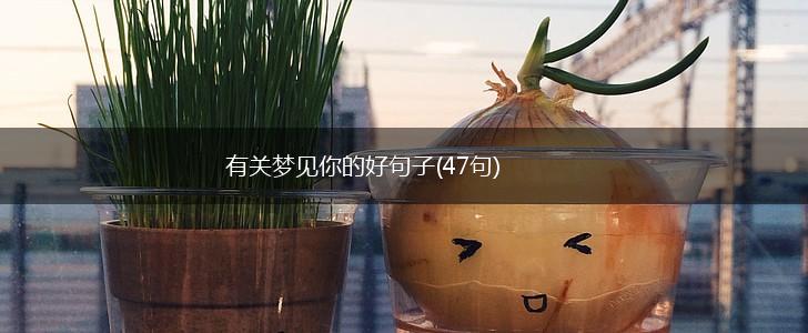 有关梦见你的好句子(47句),第1张