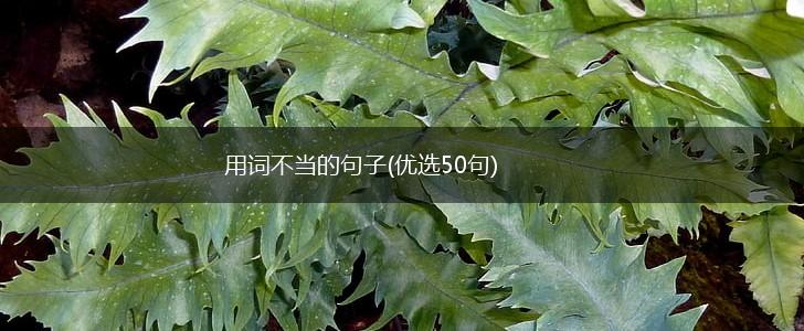 用词不当的句子(优选50句),第1张