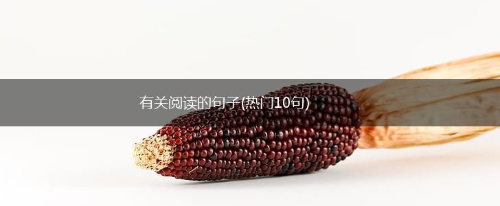 有关阅读的句子(热门10句),第1张