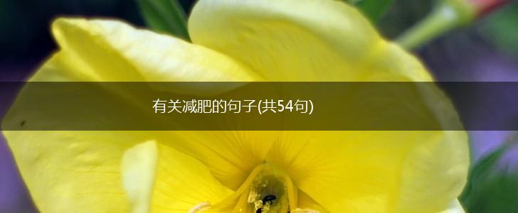 有关减肥的句子(共54句),第1张