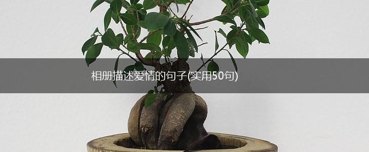 相册描述爱情的句子(实用50句),第1张