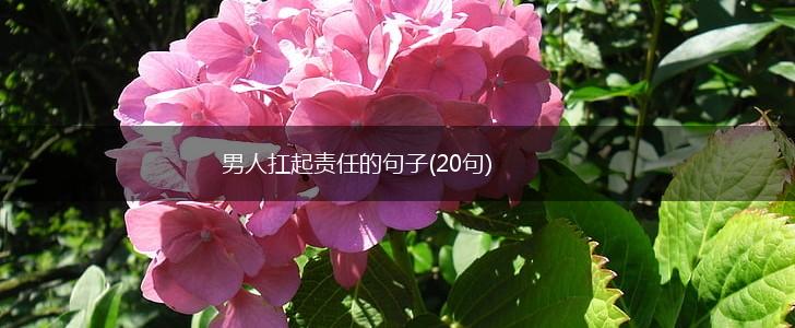 男人扛起责任的句子(20句),第1张