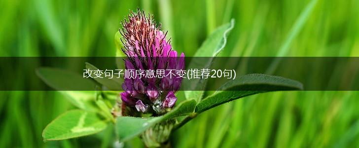 改变句子顺序意思不变(推荐20句),第1张