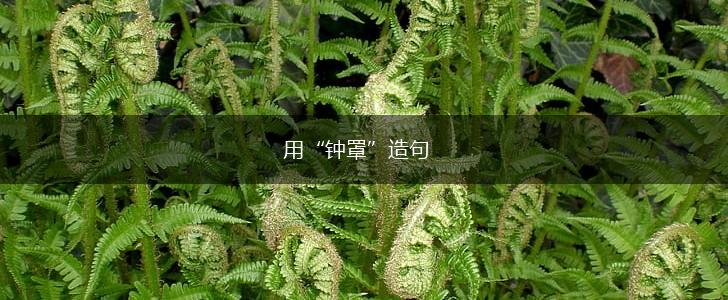 用“钟罩”造句,第1张