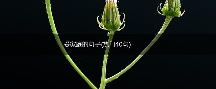 爱家庭的句子(热门40句),第1张