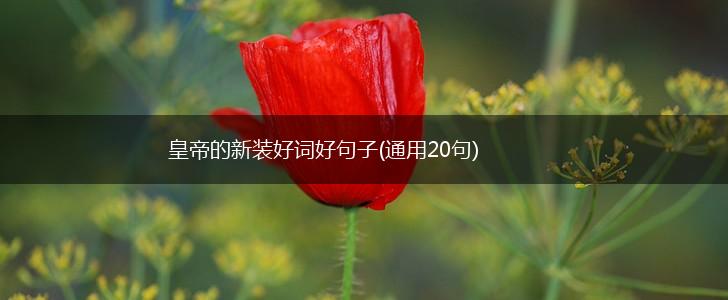 皇帝的新装好词好句子(通用20句),第1张