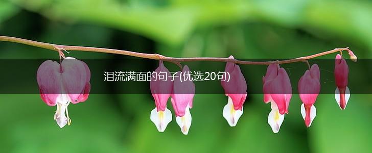 泪流满面的句子(优选20句),第1张