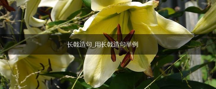 长戟造句_用长戟造句举例,第1张