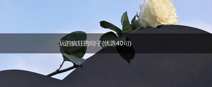 玩的疯狂的句子(优选40句),第1张