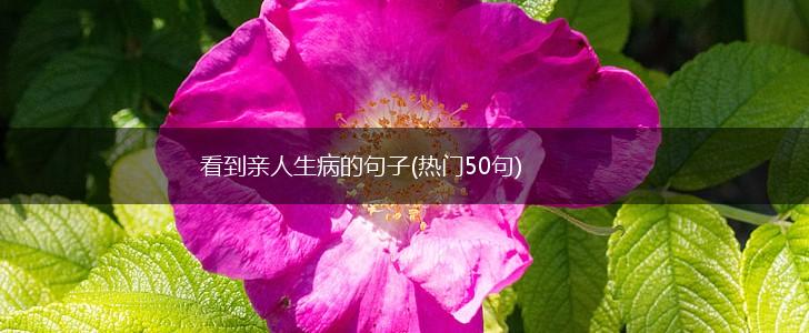 看到亲人生病的句子(热门50句),第1张