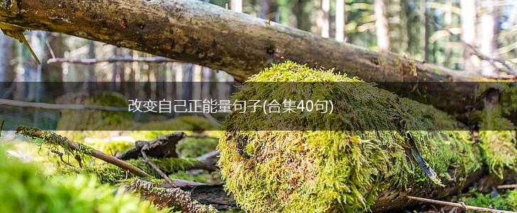 改变自己正能量句子(合集40句),第1张