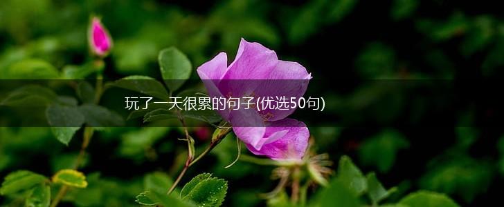 玩了一天很累的句子(优选50句),第1张