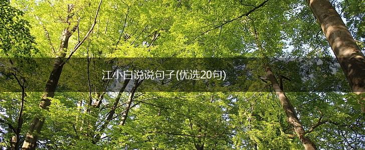 江小白说说句子(优选20句),第1张