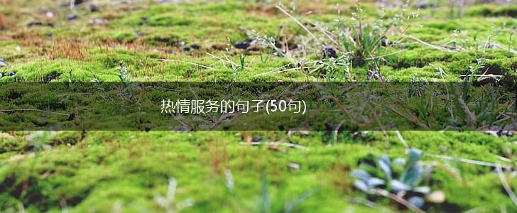 热情服务的句子(50句),第1张