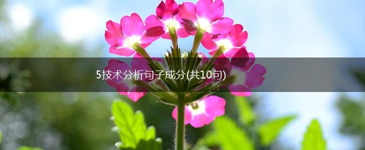 5技术分析句子成分(共10句),第1张