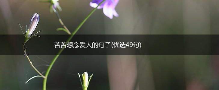 苦苦想念爱人的句子(优选49句),第1张