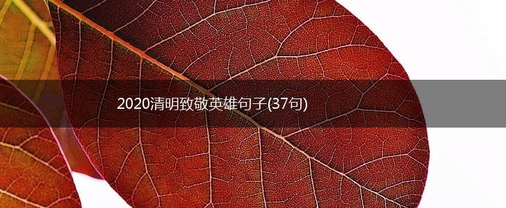 2020清明致敬英雄句子(37句),第1张