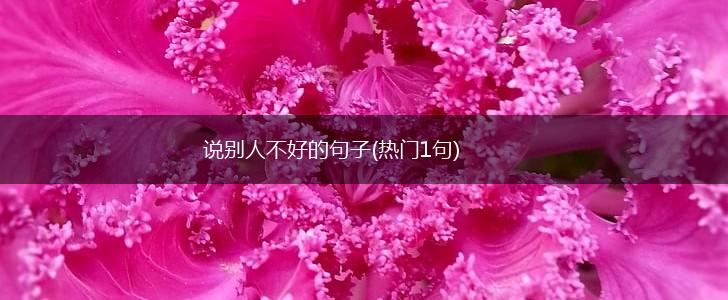 说别人不好的句子(热门1句),第1张