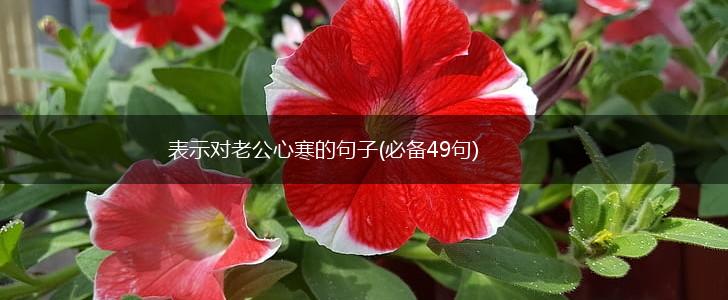 表示对老公心寒的句子(必备49句),第1张