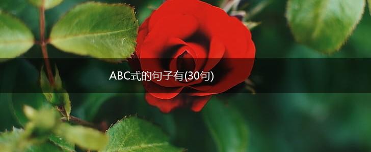 ABC式的句子有(30句),第1张