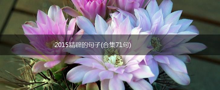 2015精辟的句子(合集71句),第1张