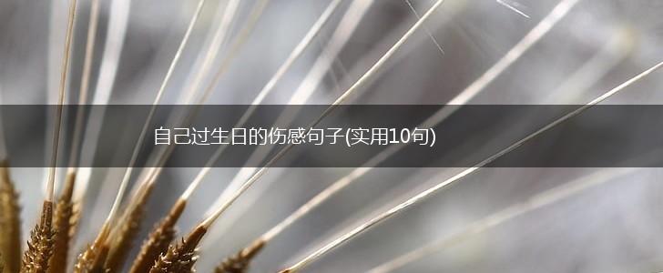 自己过生日的伤感句子(实用10句),第1张