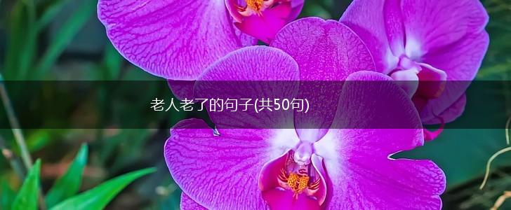老人老了的句子(共50句),第1张