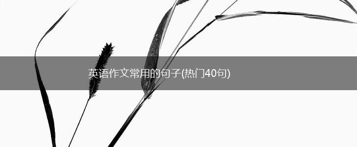 英语作文常用的句子(热门40句),第1张