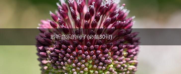 聆听音乐的句子(必备30句),第1张