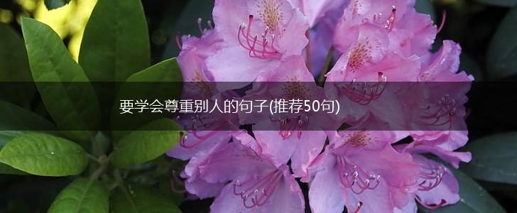 要学会尊重别人的句子(推荐50句),第1张