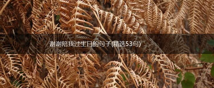 谢谢陪我过生日的句子(精选53句),第1张
