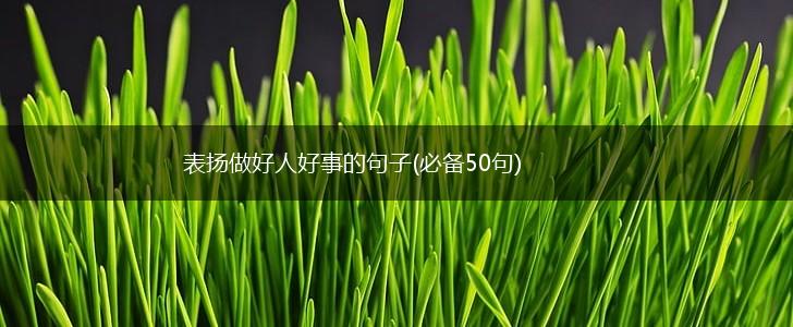 表扬做好人好事的句子(必备50句),第1张