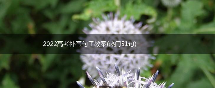 2022高考补写句子教案(热门51句),第1张