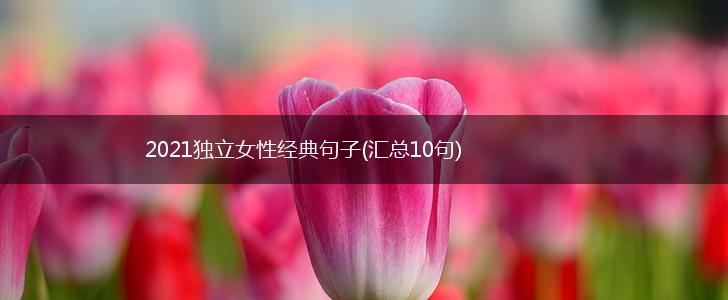 2021独立女性经典句子(汇总10句),第1张